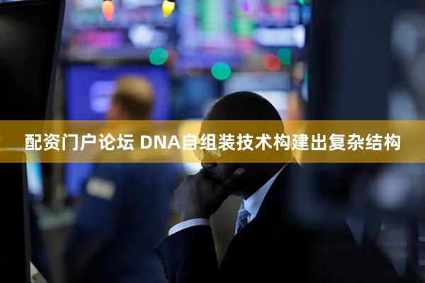配资门户论坛 DNA自组装技术构建出复杂结构